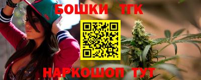 МДПВ Краснознаменск